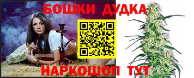 a pvp Славгород
