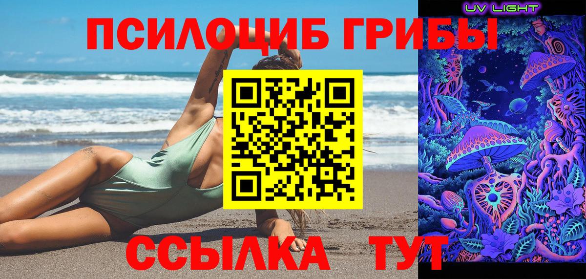 Павлово  Псилоцибиновые грибы прущие грибы  где купить наркоту  Псилоцибиновые грибы мицелий  Вход с VPN 
