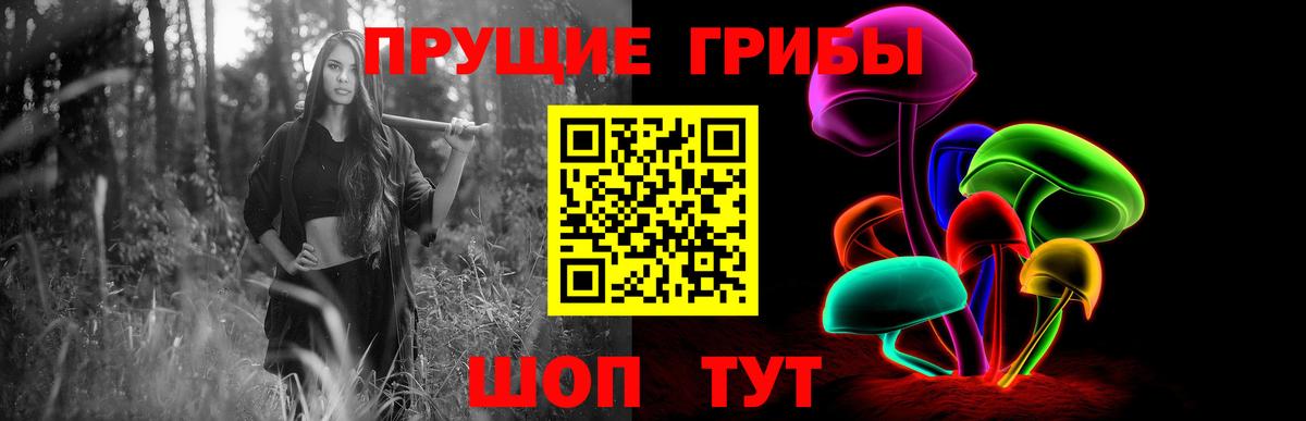Псилоцибиновые грибы мицелий Павлово